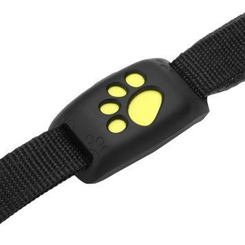 GPS Collar Z8 &mdash; надежный трекер для собак и кошек с функцией геозоны и уведомлениями на смартфон А7534678 фото