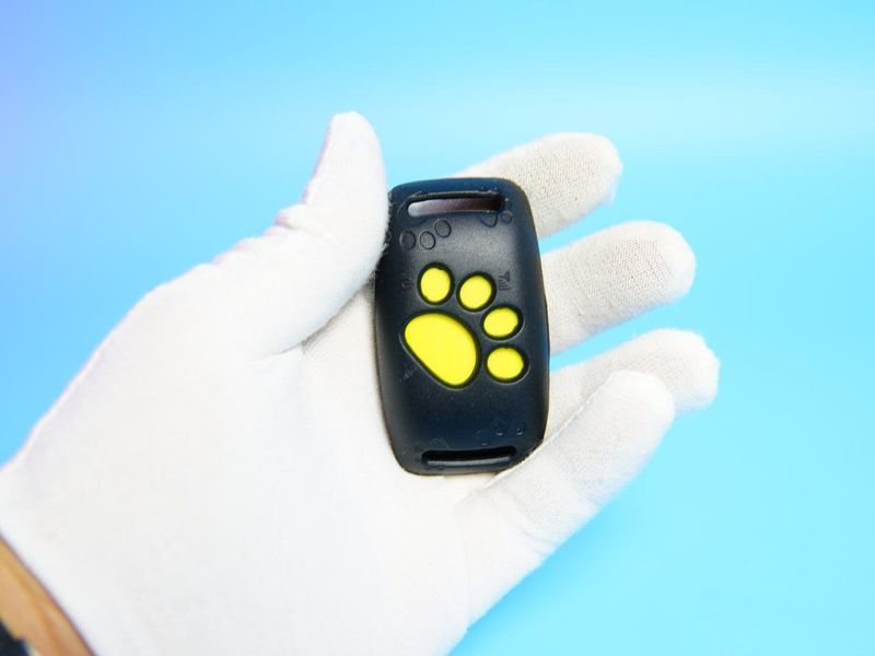 GPS Collar Z8 &mdash; надежный трекер для собак и кошек с функцией геозоны и уведомлениями на смартфон А7534678 фото