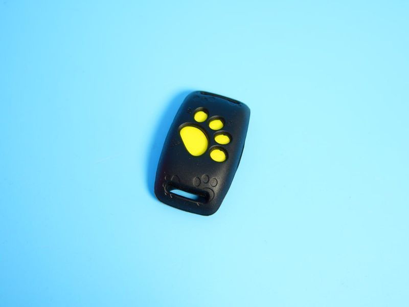 GPS Collar Z8 &mdash; надежный трекер для собак и кошек с функцией геозоны и уведомлениями на смартфон А7534678 фото